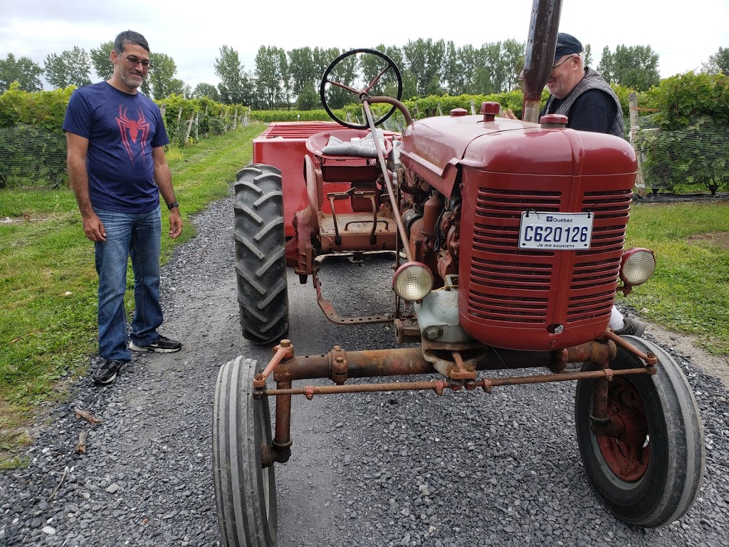 ARTERRA WINES CANADA | 175 Chemin de Marieville, Rougemont, QC J0L 1M0, Canada | Phone: (450) 469-3104