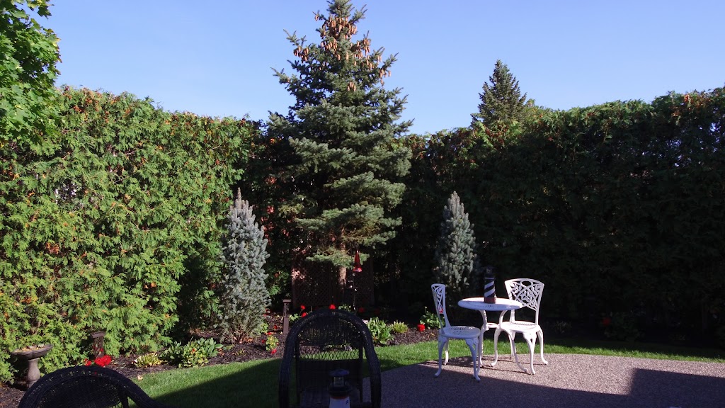 Owens Tree & Shrub Care | 2319 King St, Cheltenham, ON L7C 0S7, Canada | Phone: (905) 838-4795
