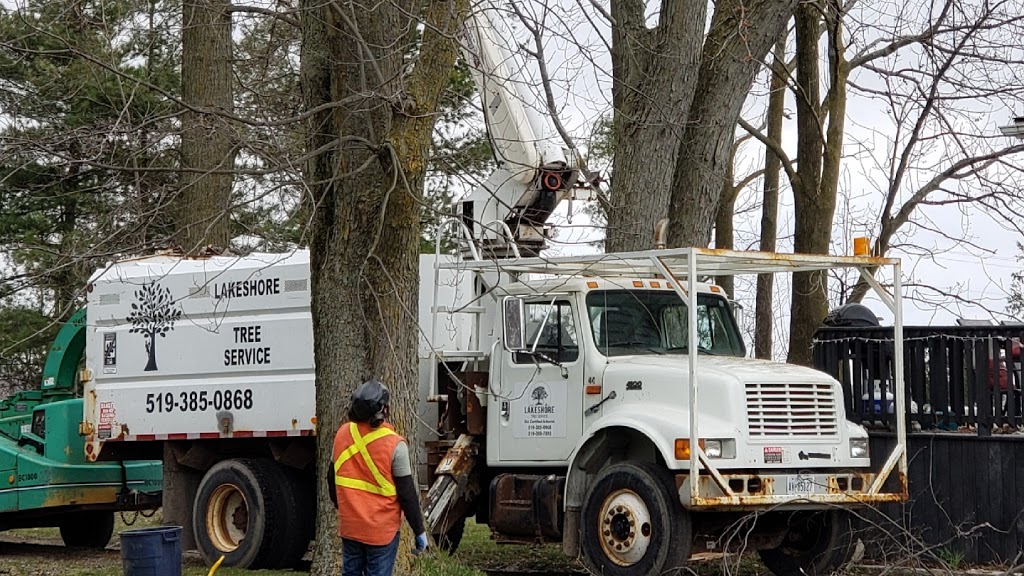 Lakeshore Tree Service | 281 Summerside Pl, Port Elgin, ON N0H 2C2, Canada | Phone: (519) 368-7893