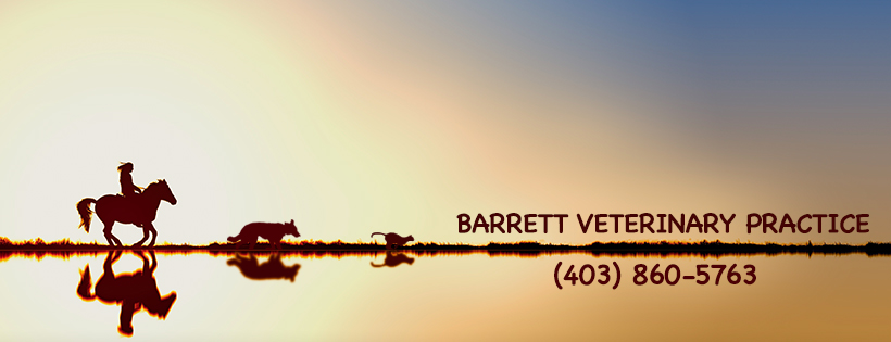 Barrett Veterinary Practice | 4 Railway Ave E Box 406, Dalemead, AB T0J 0V0, Canada | Phone: (403) 860-5763