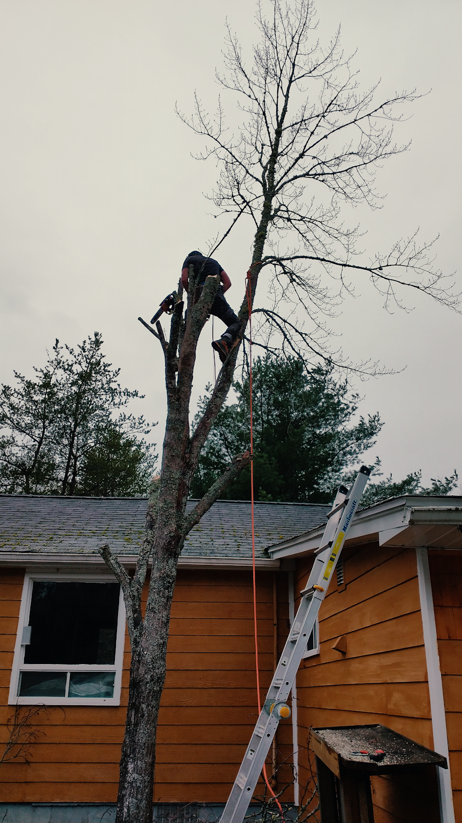 Rescyou Tree Service | 147 Walker Rd, Sackville, NB E4L 3K6, Canada | Phone: (519) 280-1937