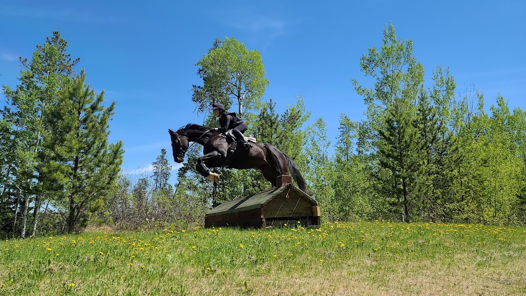 Prentice Creek Equestrian Centre | Clearwater County, AB T0M 0C0, Canada | Phone: (403) 846-8756