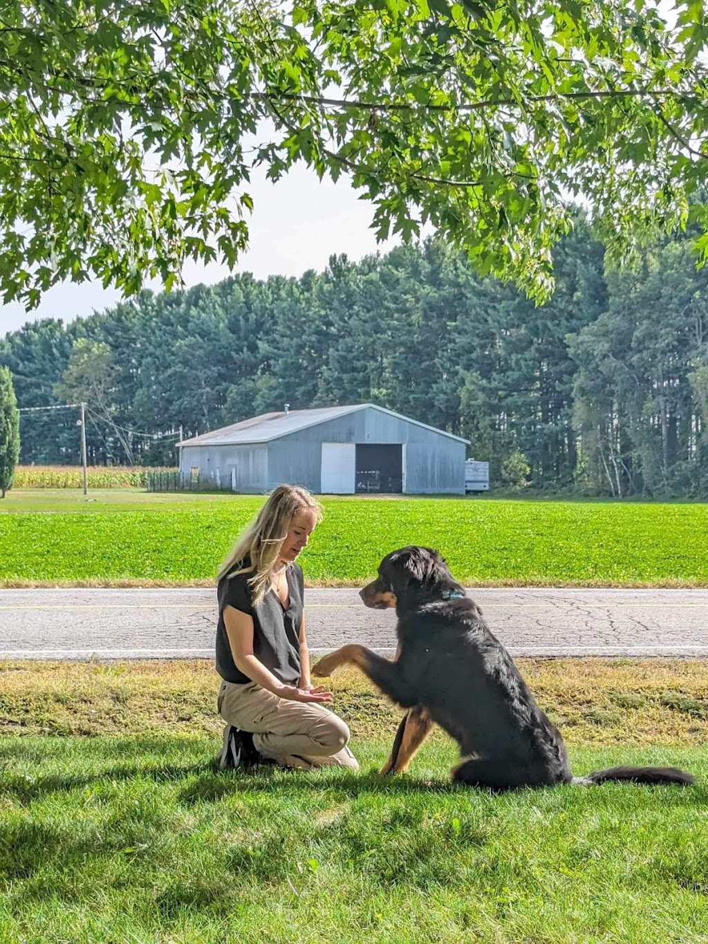 Zoothérapie Lanaudière | Saint-Paul, QC J0K 3E0, Canada | Phone: (438) 884-4644