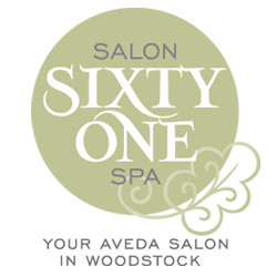 Salon Sixty One Spa | 58 Wellington St S, Woodstock, ON N4S 3H6, Canada | Phone: (519) 539-4142
