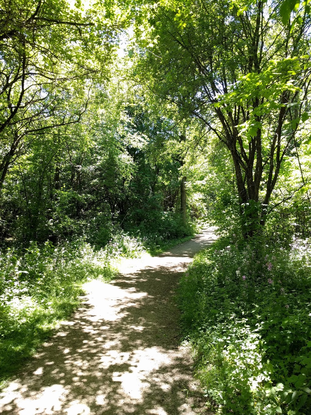 Carisbrook Drive Natural Area | Bridgeport North, Kitchener, ON N2K, Canada