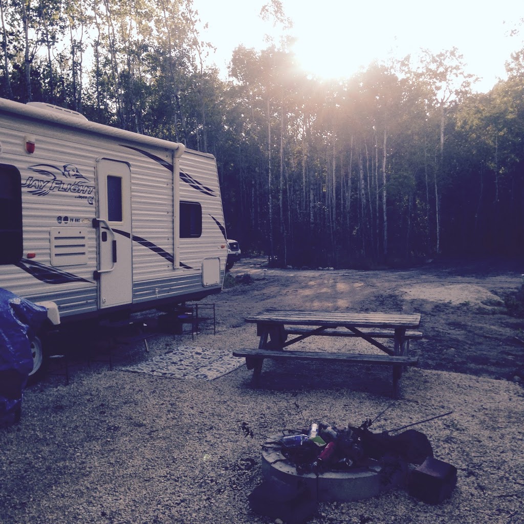 The Twisted Root RV Park | NE-1-6-8 E Rd 48 E, Box 108, Marchand, MB R0A 0Z0, Canada | Phone: (204) 371-1602