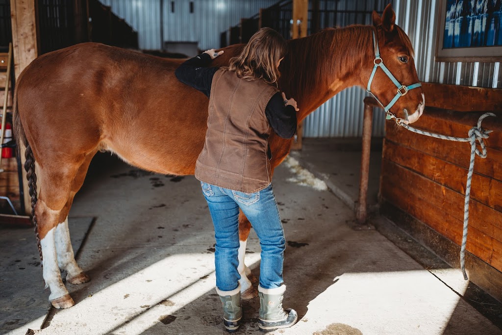 THE KNOT WHISPERER Equine Massage Therapy | Turner Valley, AB T0L, Canada | Phone: (403) 359-3540