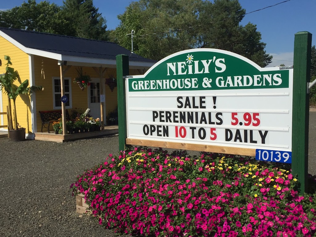 Neilys Greenhouse and Gardens | 10139 Nova Scotia Trunk 1, Paradise, NS B0S 1R0, Canada | Phone: (902) 824-1144