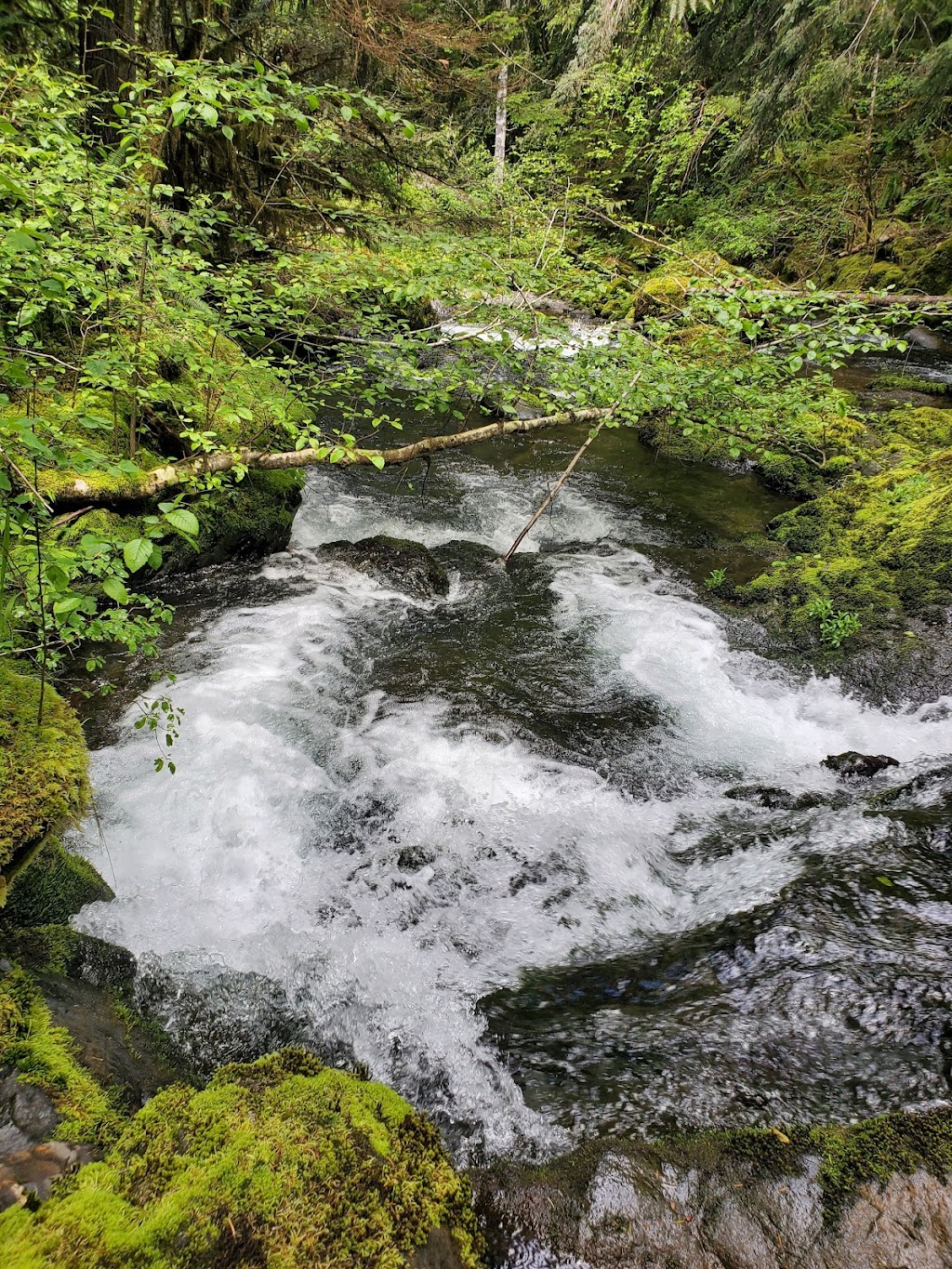 Fossli Provincial Park | Alberni-Clayoquot D, BC V0R 2B0, Canada | Phone: (250) 474-1336