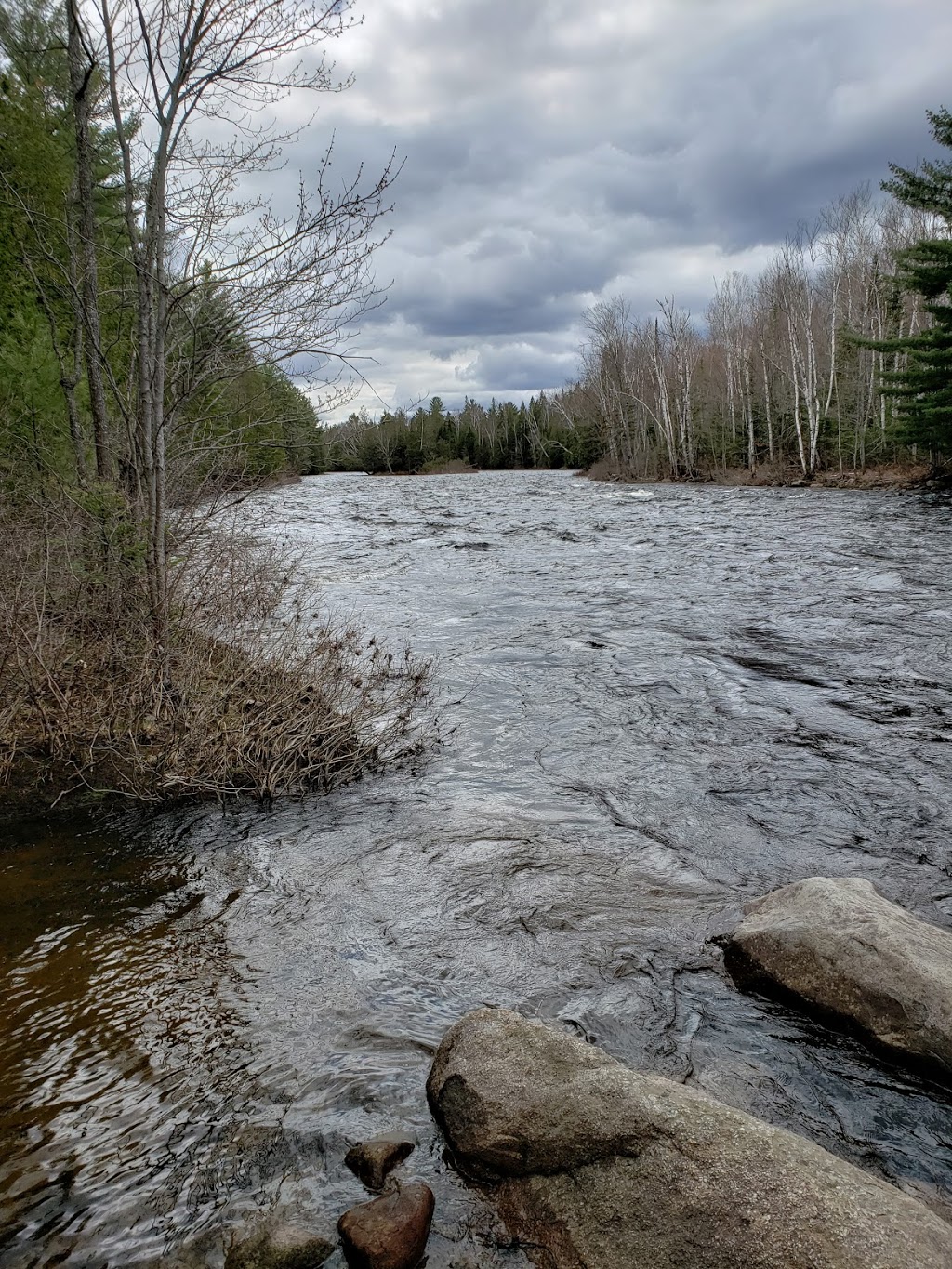 Ouareau Forest - Great Pier sector | Avenue du Castor, Chertsey, QC J0K 3K0, Canada | Phone: (450) 898-1457