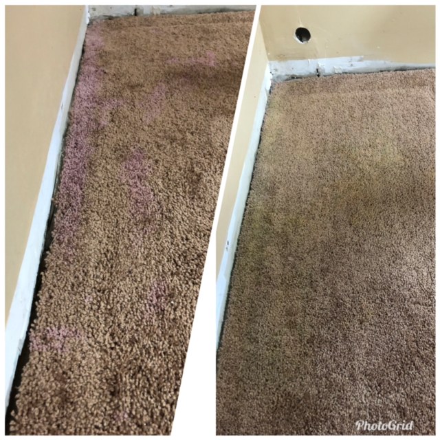 Custom Colour Carpets and Rugs | 21 Manley Crescent, Thorold, ON L2V 4K2, Canada | Phone: (519) 318-7717