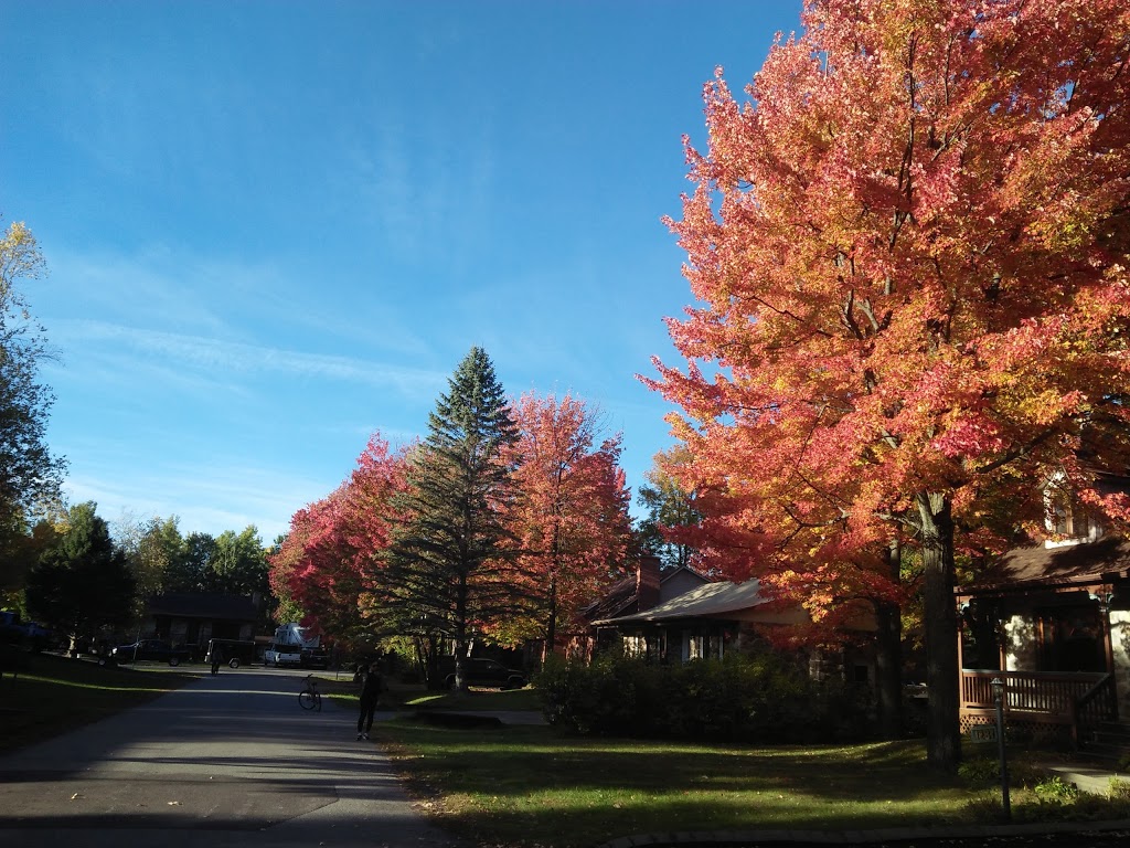 Parc des Pins | Rue de la Sapinière, Saint-Lazare, QC J7T 1Z7, Canada