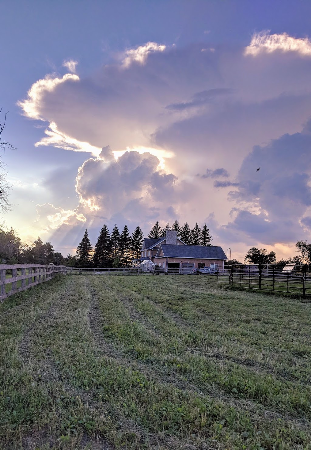 Circling Hawk Honey Farm | 13433 Leslie St, Richmond Hill, ON L4E 1A2, Canada | Phone: (289) 809-4360