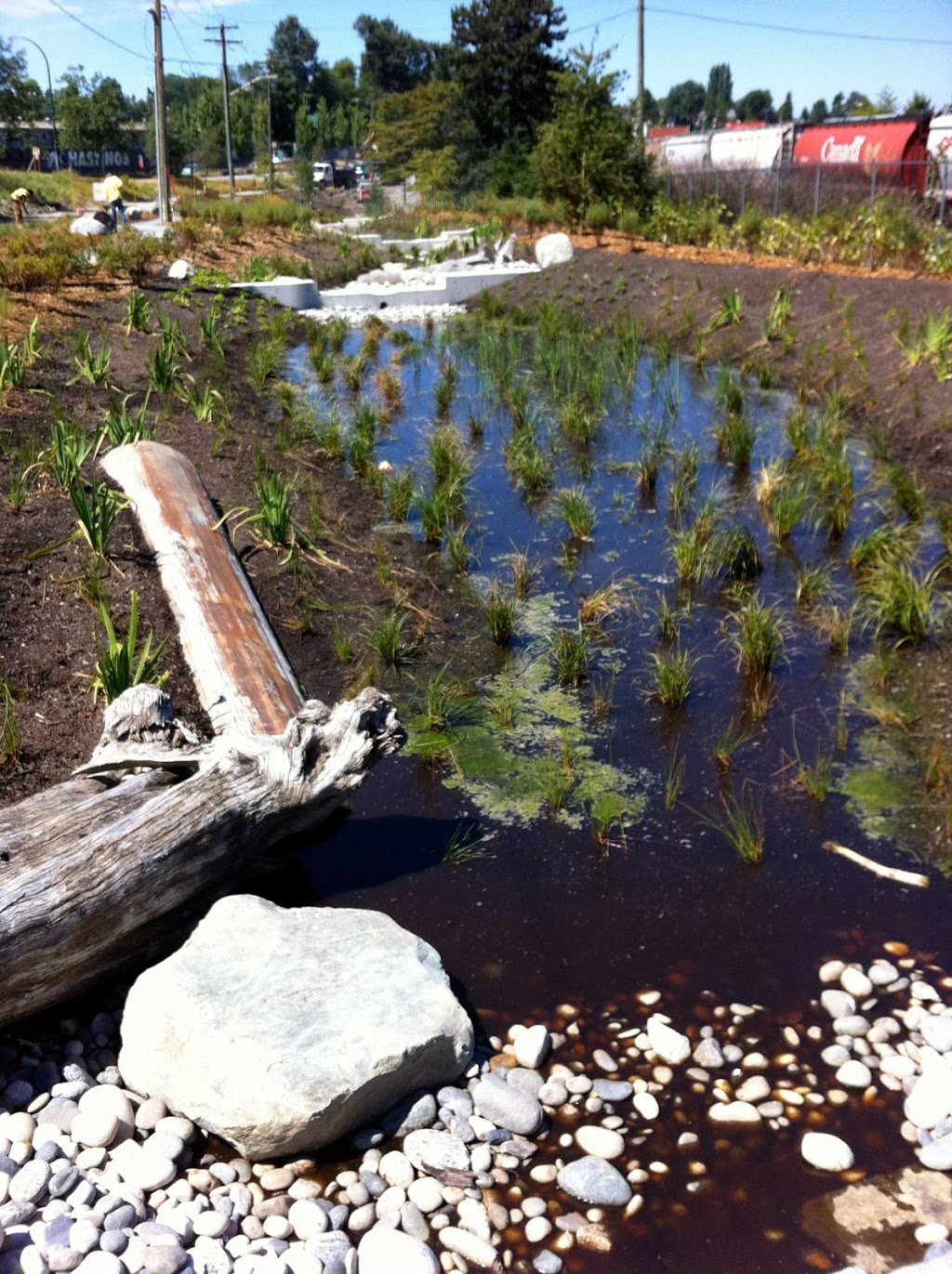 Creekway Park | McGill St, Vancouver, BC V5K, Canada