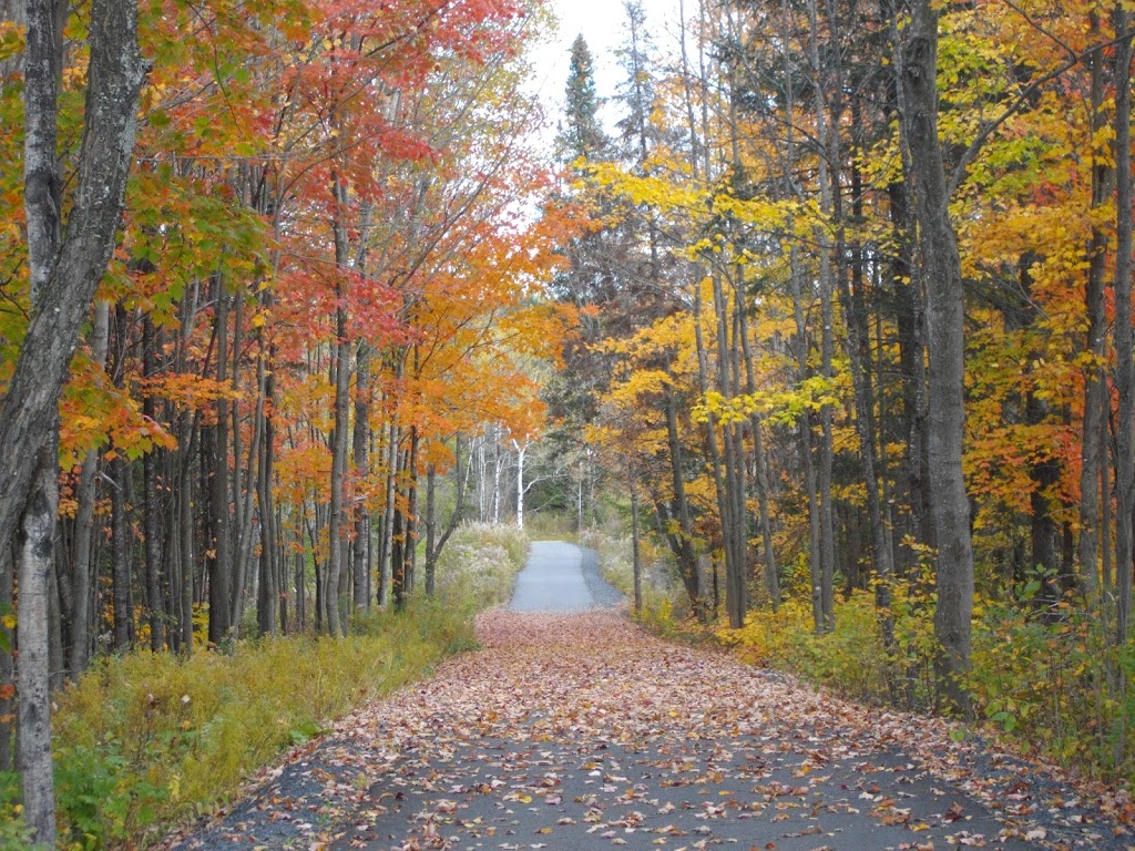 Municipalité de Saint-Benoît-Labre | 216 QC-271, Saint-Benoît-Labre, QC G0M 1P0, Canada | Phone: (418) 228-9250