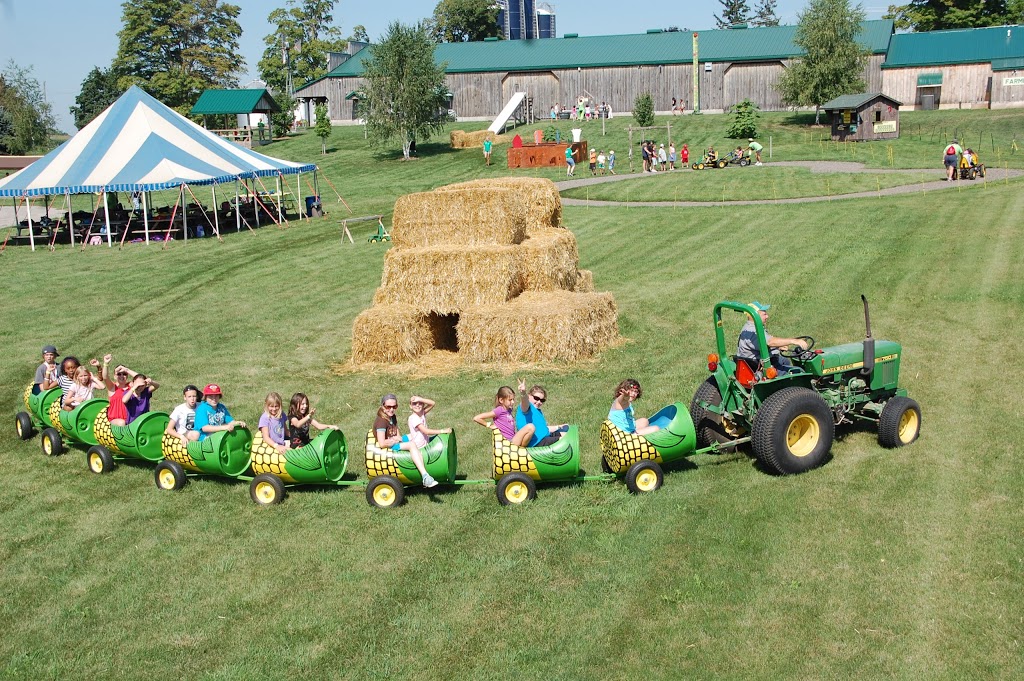 Leaping Deer Adventure Farm and Market | 544212 Clarke Rd, Ingersoll, ON N5C 3J8, Canada | Phone: (519) 485-4795