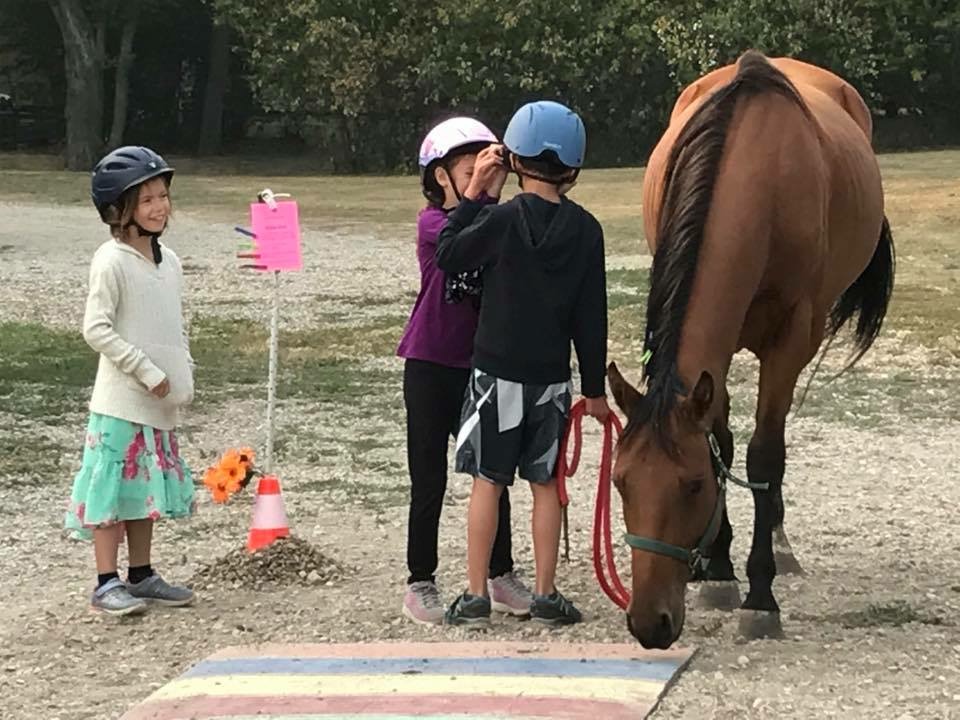 Pacific Equine Empowerment | 6003 104 St, Delta, BC V4K 3N3, Canada | Phone: (778) 686-0900