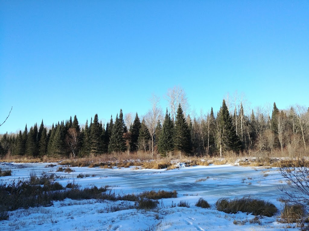 Grand Beach Cross Country Ski Trails | Unnamed Road, Grand Marais, MB R0E 0T0, Canada | Phone: (204) 754-5040