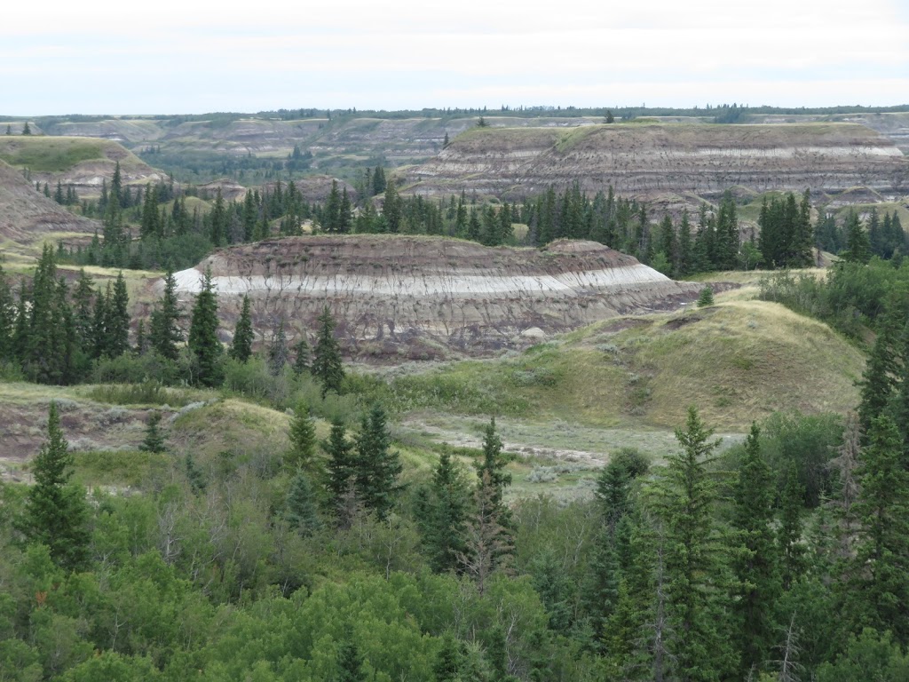 LaPrairieaire EcoTourism | RR1, Donalda, AB T0B 1H0, Canada | Phone: (403) 860-1313