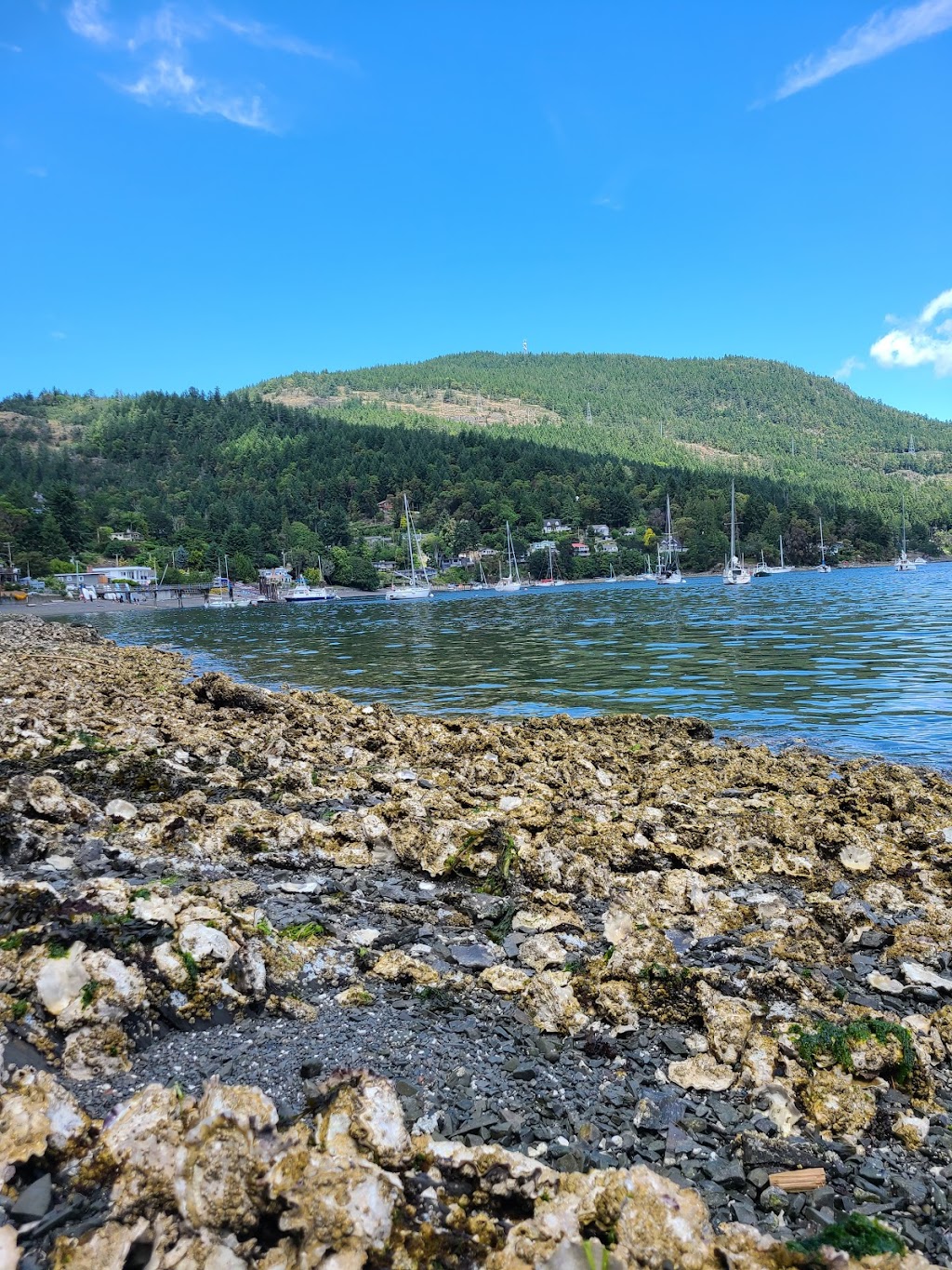 Maple Bay Municipal Wharf | D St, Duncan, BC V9L 5X8, Canada | Phone: (250) 246-4655