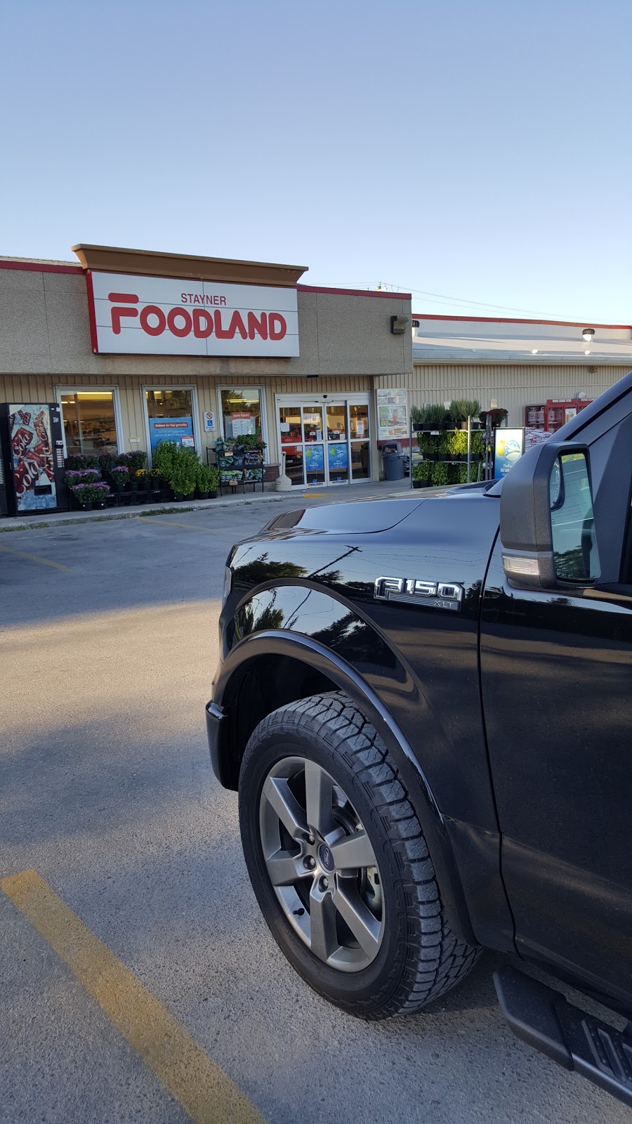 Foodland - Stayner | 1057 County Rd Office #42, Stayner, ON L0M 1S0, Canada | Phone: (705) 428-3449