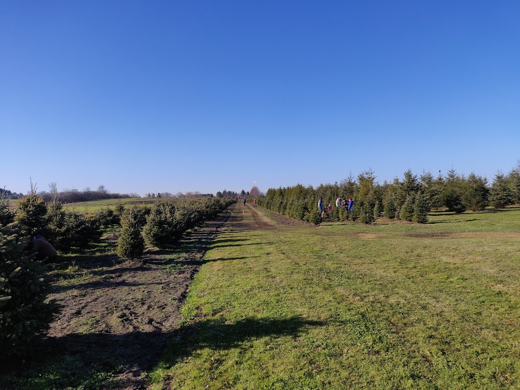 Gerencer Family Tree Farm | 12681 Kennedy Rd, Whitchurch-Stouffville, ON L4A 4A9, Canada | Phone: (905) 888-9214