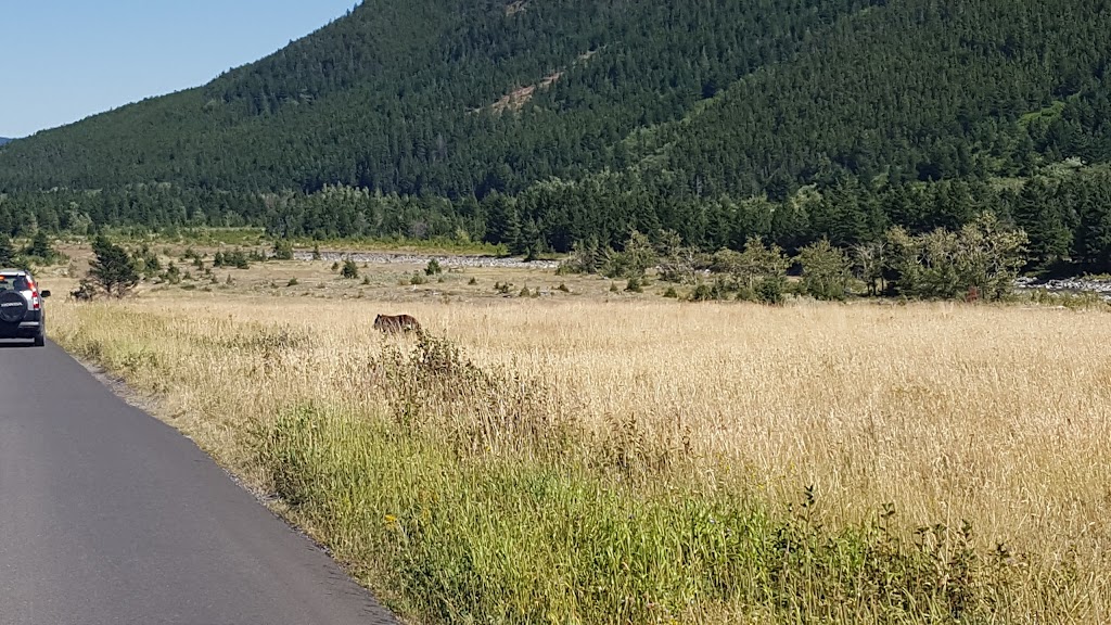 Crandell Mountain Campground | Waterton Park, AB T0K 2M0, Canada | Phone: (888) 773-8888