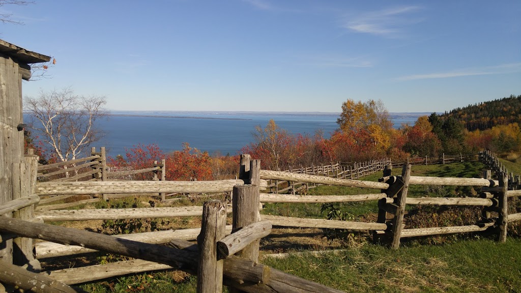 Ferme de l’Âne du Saint-Laurent | 975 Chem. de Port au Persil, Saint-Siméon, QC G0T 1X0, Canada | Phone: (418) 638-1264