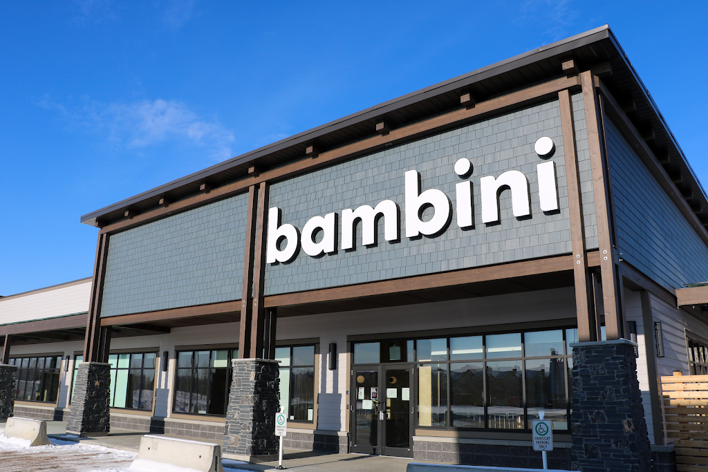 Bambini Learning Group - Granville | 20930 62 Ave NW, Edmonton, AB T5T 4L7, Canada | Phone: (825) 401-1813