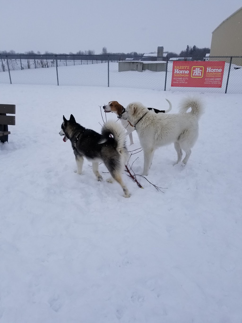 Parc canin Dog Park | 550 Notre Dame St, Russell, ON K4R 1E5, Canada | Phone: (613) 443-3066