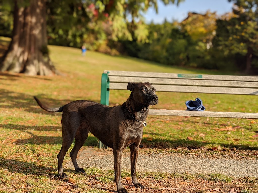 Carisbrooke Park Playground | North Vancouver, BC V7N, Canada | Phone: (604) 983-6575