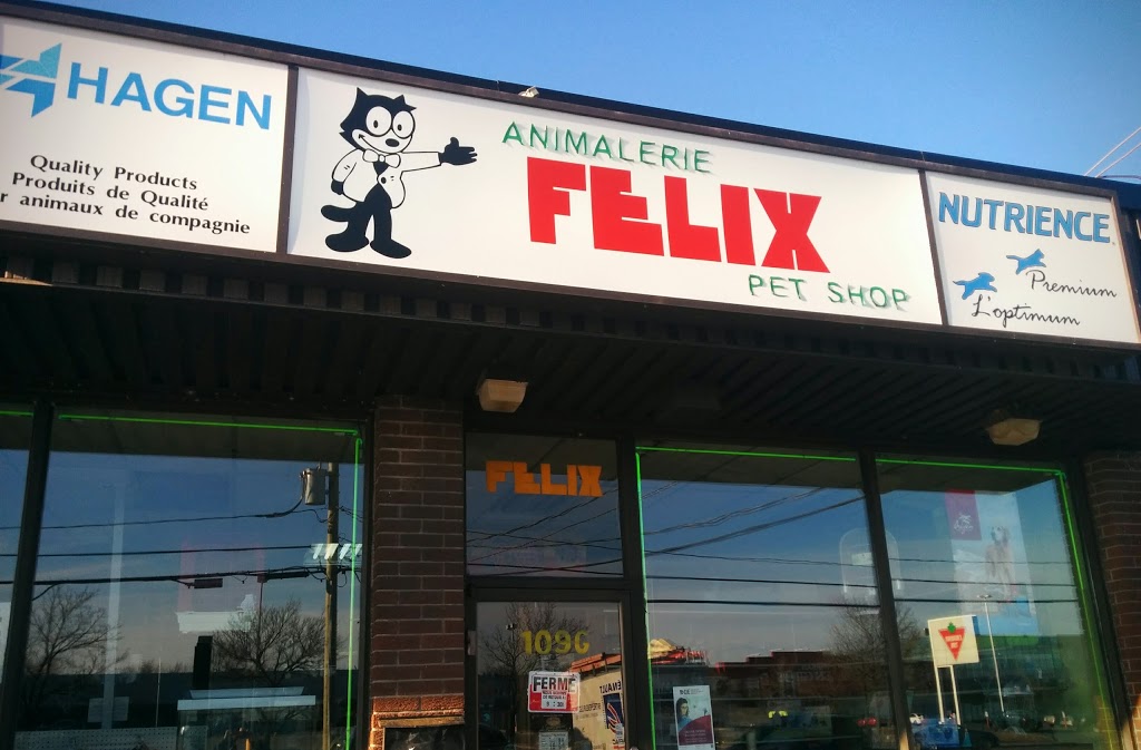 Animalerie Felix Pet Shop | 109 Boulevard DAnjou, Châteauguay, QC J6J 2R2, Canada | Phone: (450) 691-1833