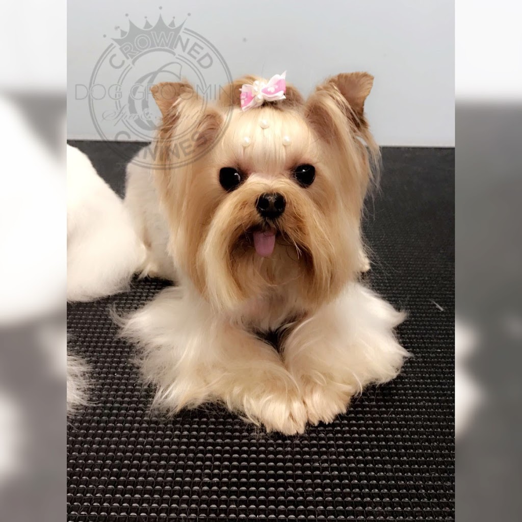 Crowned Canines Dog Grooming Spa & Boutique | 63 Queen St S Unit 6, Mississauga, ON L5M 3S9, Canada | Phone: (905) 997-4738