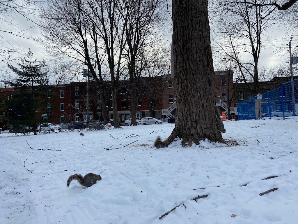 Parc Raymond-Préfontaine | 3100 Rue Hochelaga, Montréal, QC H1W 1G3, Canada | Phone: (514) 872-0311