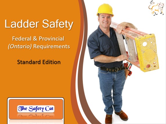 The Safety Cat | 12 Furniss St, Beaverton, ON L0K 1A0, Canada | Phone: (647) 298-2875