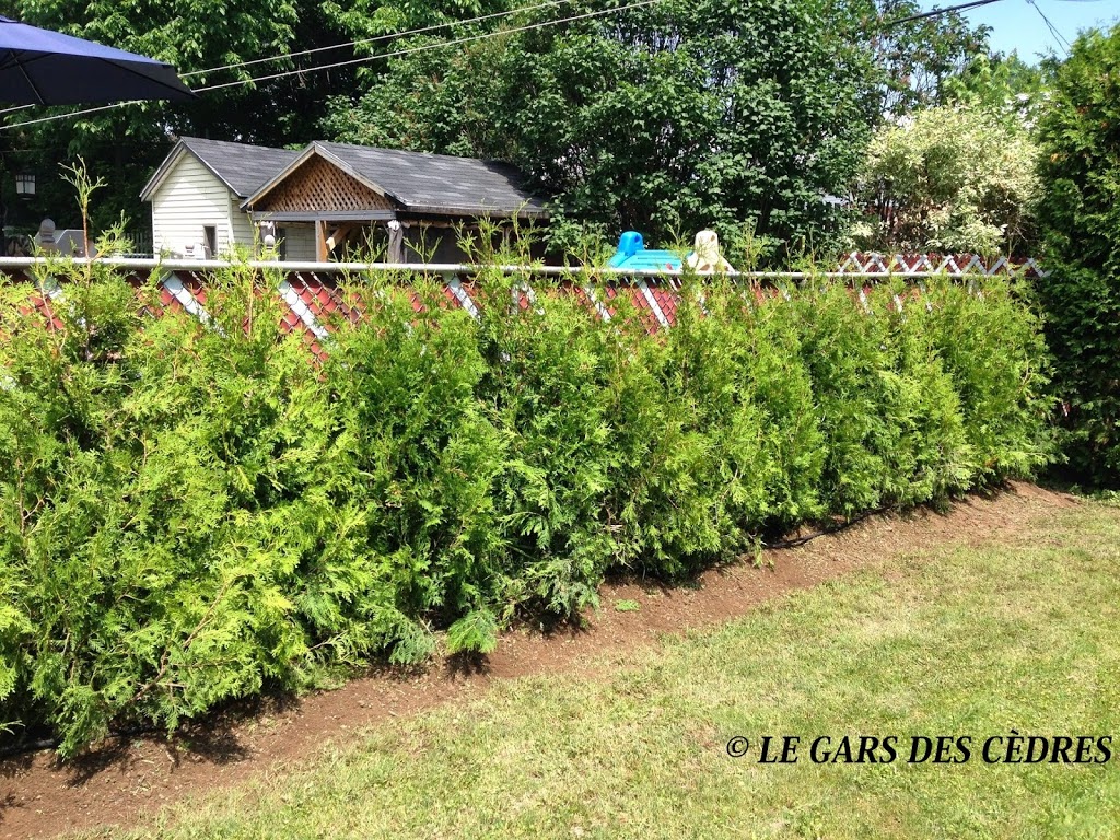 Le Gars Des Cèdres Chambly | 1001 Rue Patrick Farrar, Chambly, QC J3L 4N7, Canada | Phone: (514) 791-6331