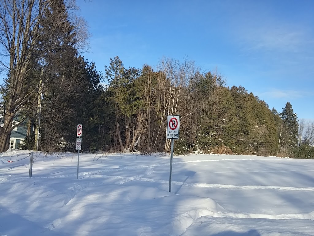 Parc de la famille | Rue Emile Cochand, Sainte-Adèle, QC J8B 2X9, Canada