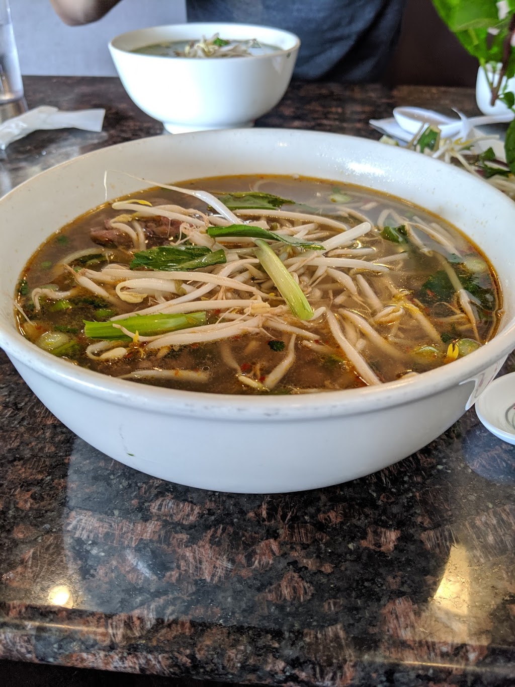 Pho Binh Minh Restaurant | 4710 17 Ave SE, Calgary, AB T2A 0V1, Canada | Phone: (403) 235-2521
