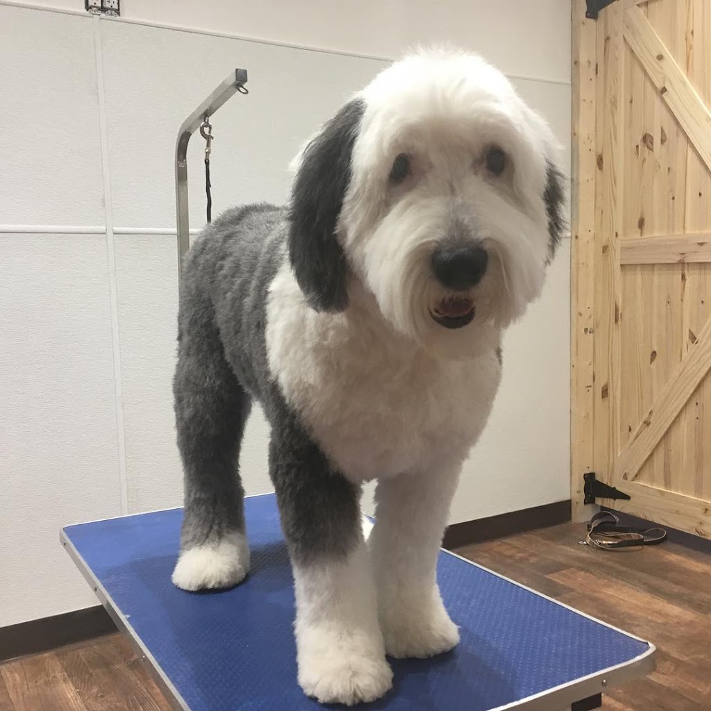 The Grooming Barn | 1038 Cedar Creek Rd, Cambridge, ON N1R 5S5, Canada | Phone: (519) 277-2276