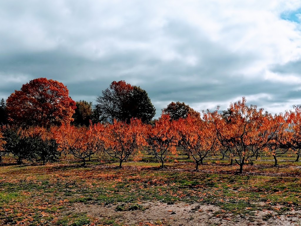 Sunnybrook Farm | 1425 Lakeshore Rd, Niagara-on-the-Lake, ON L0S 1J0, Canada | Phone: (905) 468-8878