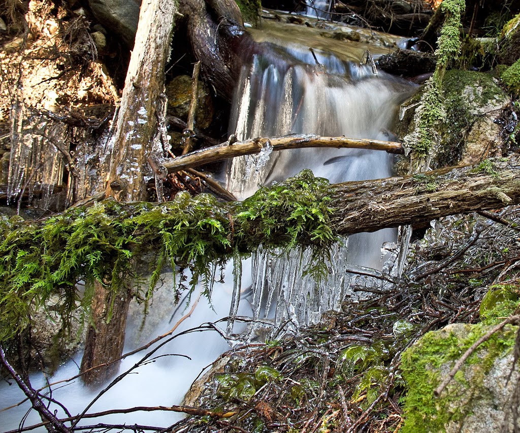 Mount Elphinstone Provincial Park | Crow Road, Roberts Creek, BC V0N 2W1, Canada | Phone: (800) 689-9025