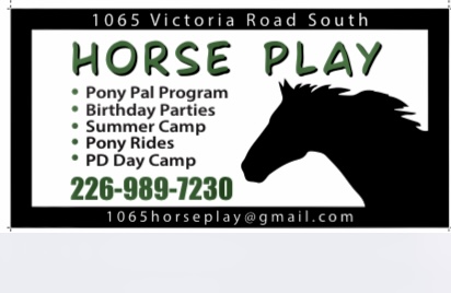 Horse Play - Play With The Herd | 1065 Victoria Rd S, Guelph, ON N1L 1B3, Canada | Phone: (226) 989-7230