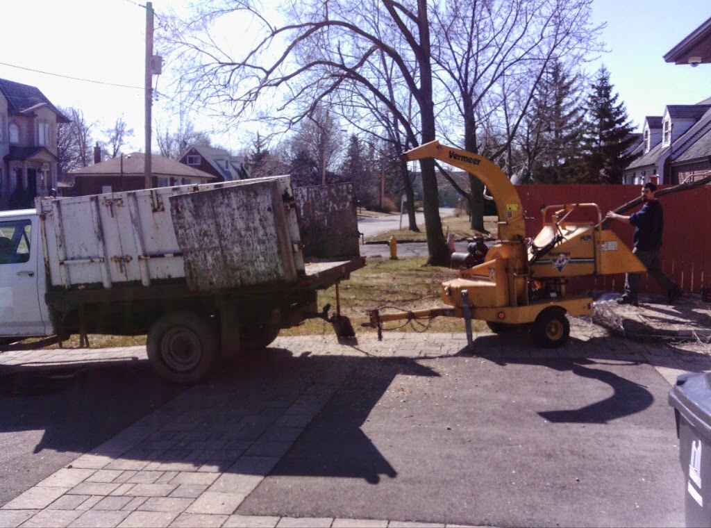 Aftermath Tree Care | 321 Marland Ave, Oshawa, ON L1J 1X3, Canada | Phone: (647) 771-8733