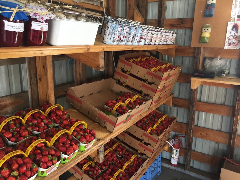 Ferme Denis Plante Fraises Framboises | 7497 Chem. Royal, Saint-Laurent-de-lÎle-dOrléans, QC G0A 3Z0, Canada | Phone: (418) 828-2429