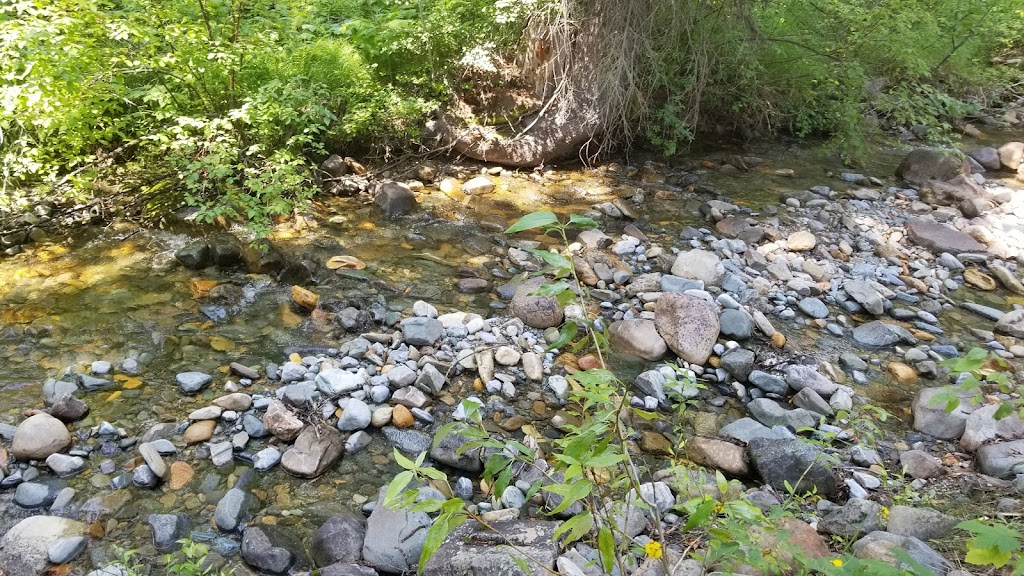 Noke Creek Lodge & Campground | 9100 Moyie River Road, Cranbrook, BC V1C 6X2, Canada | Phone: (780) 801-1632