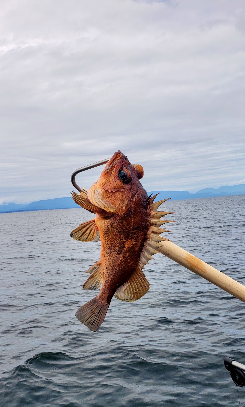 Fintastic Fishing Adventures | Oyster River, Black Creek, BC V9J 1B3, Canada | Phone: (587) 891-7998