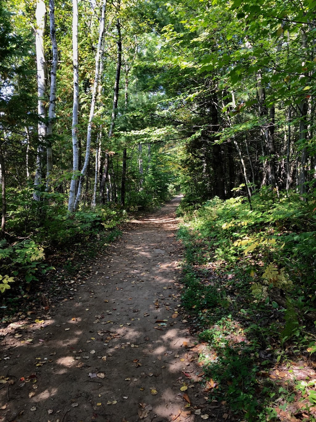 Promenade Jacques-Cartier | 175 Rte De La Pinière, Pont-Rouge, QC G3H 3R7, Canada