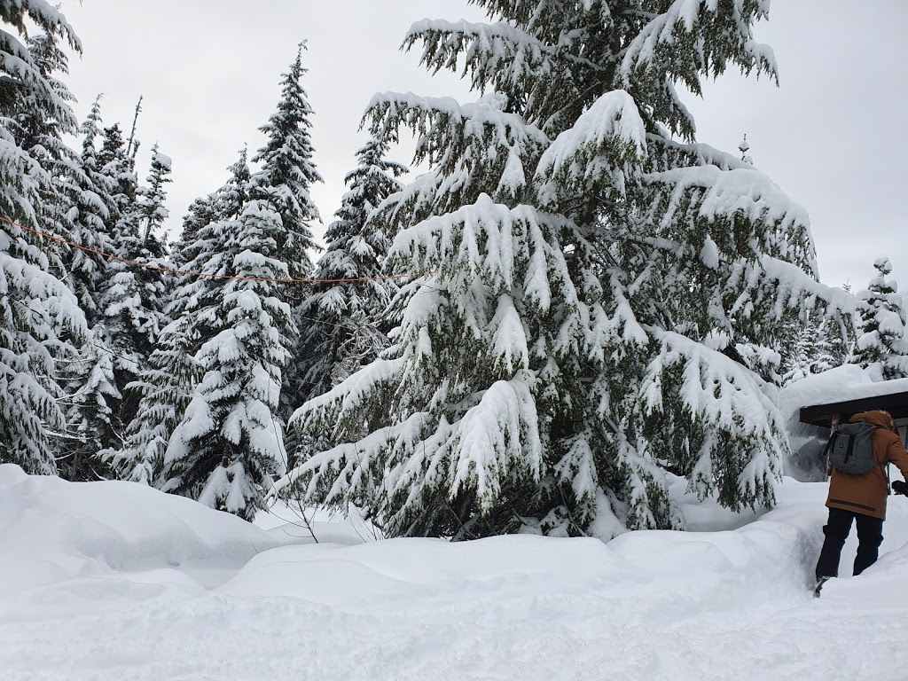 Canadian Wilderness Adventure | Callaghan Base Camp | P.O. 701, Callaghan Creek Forest Service Rd, Whistler, BC V0N 1B0, Canada | Phone: (604) 938-1616