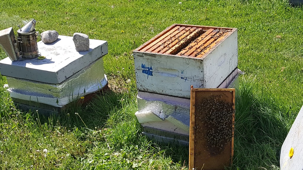 Derrco Apiaries | 36122 Oakwood Rd 64N, Anola, MB R0E 0A0, Canada | Phone: (204) 266-1490