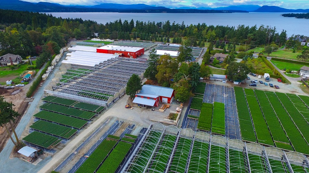 Arbutus Grove Nursery Ltd | 9721 W Saanich Rd, North Saanich, BC V8L 5T5, Canada | Phone: (250) 656-4162